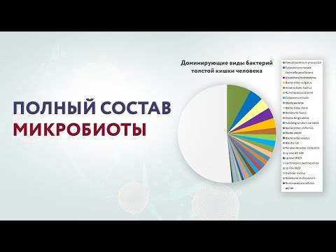 Микробиота: состав и факторы, которые на неё влияют