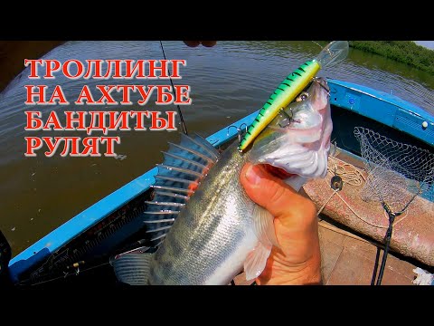 Троллинг на Ахтубе, БАНДИТЫ рулят )