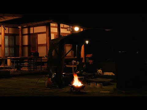 Front lawn camping on the 90 year old house with my dog