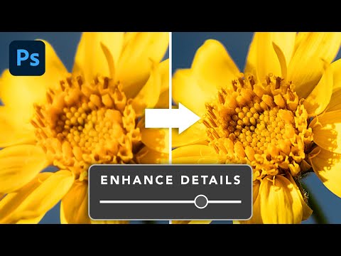How To Sharpen Images In Photoshop - 4 BEST Ways