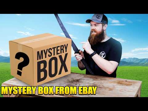 I Bought A $250 EBAY Mystery box!