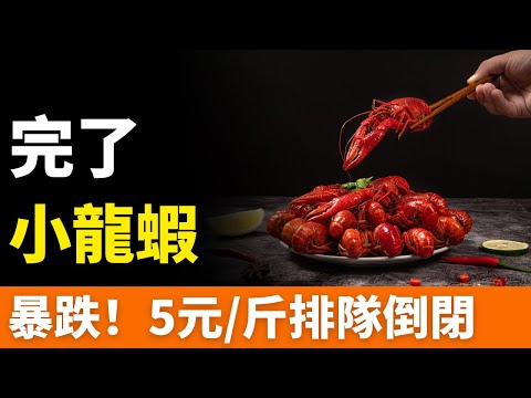 完了！小龍蝦！5元/斤！均價腰斬！大量店鋪倒閉，蝦農血虧甩賣，資本加速撤場！夜宵霸主徹底玩完！曾市場規模5000億，如今冷冷清清，行業面臨慘烈崩盤！頭部品牌苦苦掙扎，排隊打靶正式開始！