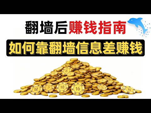 2025翻墙后外网赚钱指南!普通人如何靠信息差赚钱|真实靠谱项目分享|搞钱必看|网赚|科学上网|信息差|直接复刻