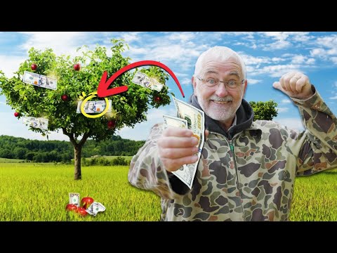 10 Ways your Fruit Trees can earn you a PROFIT!