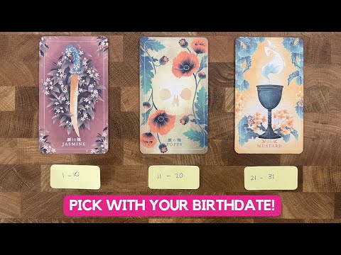 From Your Akashic Records: What Is Destined To Happen Next For You? | Timeless Reading