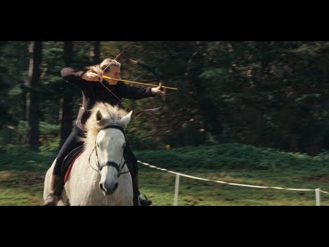 ANNA LOW | film horse trainer documentary, Auckland, New Zealand