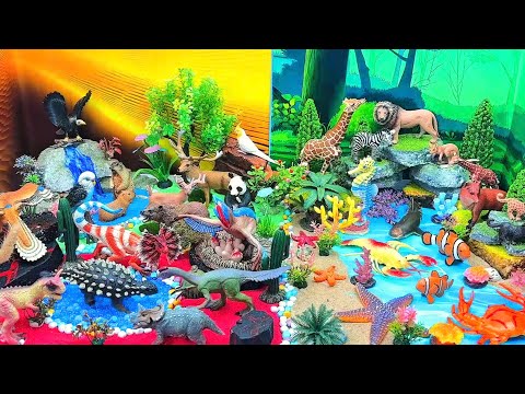 Learn Savanna, Forest and Ocean Animals Names | DIY Animal Diorama