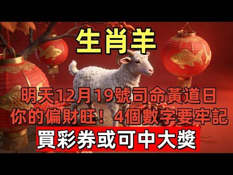 生肖羊，明天12月19號，農曆十月三十是「司命黃道日」，你的偏財旺！4個數字要牢記，買彩券或可中大獎！#玄运生肖#屬相運勢#生肖#家運#手寫#生肖運勢的那些事#先知#風水變化#提升運勢
