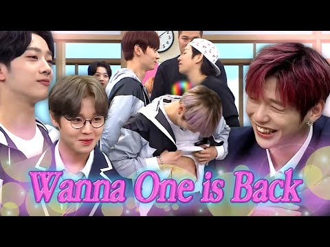 Wanna One is Back After 7 Years?? Hilarious Moments Compilation 🤣🤣🤣