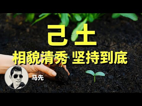 美女俊男，有明星潜质的命——己土：相貌清秀，内向，内敛，讲究内涵，没啥主见，做事略显胆怯却能坚持到底。不同的己土的人生里会出现哪些趋势？