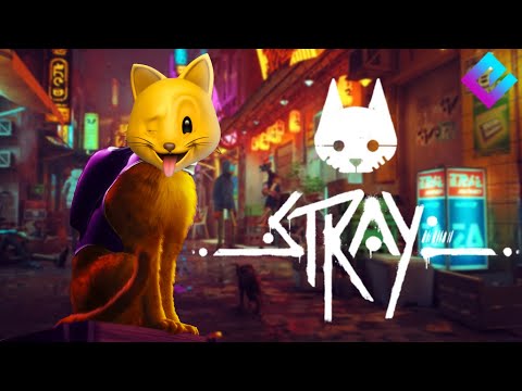 I'M AN ACTUAL CAT! | Stray | Fan Choice Friday