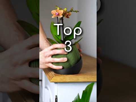 Wait… This Is ALL 3D-Printed?! | Best of 2025