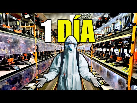 Dentro de la MAYOR FÁBRICA de IMPRESORAS 3D | ¿Cómo se crean las máquinas?
