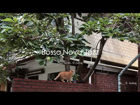 🐈 느긋하고 평화로운 시간, 기분이 좋아지는 보사노바 재즈🎧 / Chilled and Peaceful Moments, Uplifting Bossa Nova Jazz