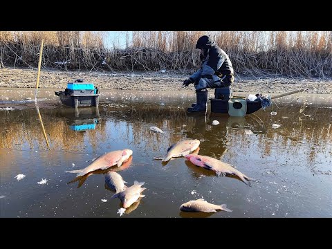 В ЦІЙ ПРОТОЦІ ЗІБРАЛАСЯ ВСЯ РИБА. Зимова рибалка 2025