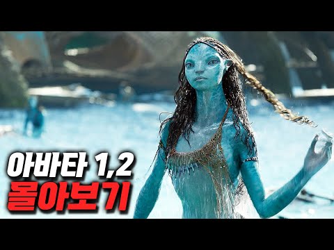 다시보면 ㅈㄴ 웃긴 《아바타》 몰아보기