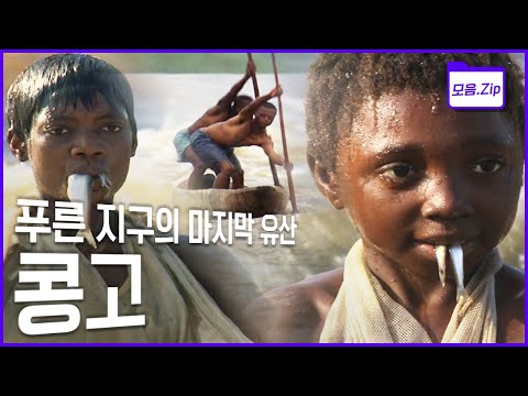 [ENG CC/명작다큐🎖️몰아보기] "모든 강을 삼키는 강" 4,700km 콩고 강의 대자연과 원주민 | 2011 KBS '푸른 지구의 마지막 유산, 콩고' 3부작➕극장판