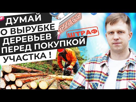ДУМАЙ О ВЫРУБКЕ ДЕРЕВЬЕВ ПЕРЕД ПОКУПКОЙ УЧАСТКА!