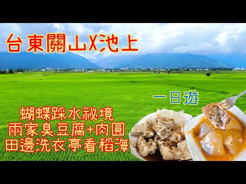 一日吃遍台東關山池上| 肉圓+兩家臭豆腐吃到飽+探訪魚梯秘境