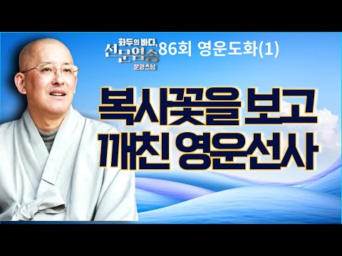 복사꽃을 보고 깨친 영운선사[문광스님 화두의 바다 선문염송 86회 영운도화(1)]전체영상