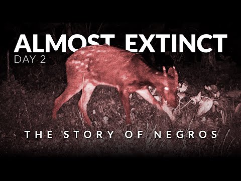 Finding the Rarest Deer in the Philippines Part 2