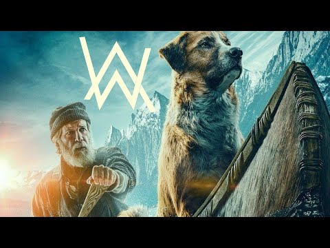 Alan Walker - The True Leader (Part. 05)