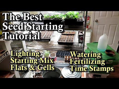 A Complete Guide for Starting Seeds Indoors  (Lighting, Seed Mix, Cells, Watering, & Fertilizing)