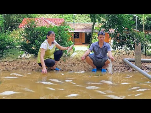 The fish in the pond suddenly got sick and DAu & TU faced the tragedy of losing everything.