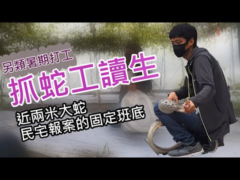 [Ubersnake]Student catch 200CM big snake inTaiwan