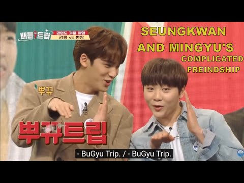 Seungkwan and Mingyu's Complicated Friendship (SEVENTEEN)