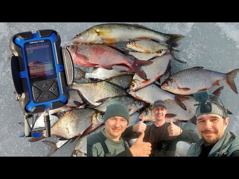 ЗАКРЫВАЕМ ЗИМНИЙ СЕЗОН: ИСКАЛИ СУДАКА, НО НАШЛИ СТАЮ МИРНОЙ РЫБЫ