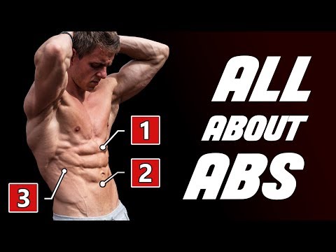 ABS Unleashed  | The Only Guide You'll Need