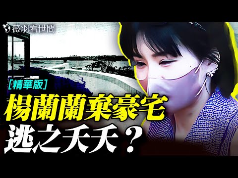 楊蘭蘭消失前的24小時：豪宅清空、車影無蹤！《紅色輪盤》曝光：權貴家族與啟皓地下的秘密世界。｜薇羽看世間【精華版】 20251021