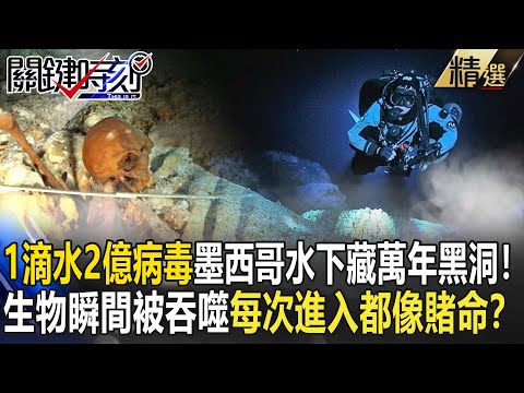 "1 drop of water, 200 million viruses" Mexico hides a 13,000-year "death black hole" underwater!