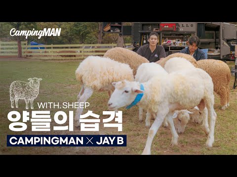 Where did they come from in the midst of camping?