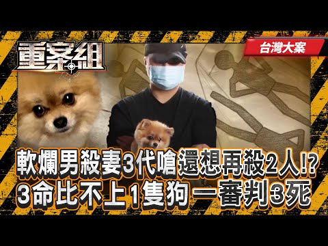 《台灣大案》軟爛男吃穿全靠老婆「狠殺妻家3代」落網竟喊不後悔!? 3條人命比不上1隻狗「還想再殺2個人」一審判三死刑!? 《重案組》 20251101|楊茹涵 @ebcOhMyGod