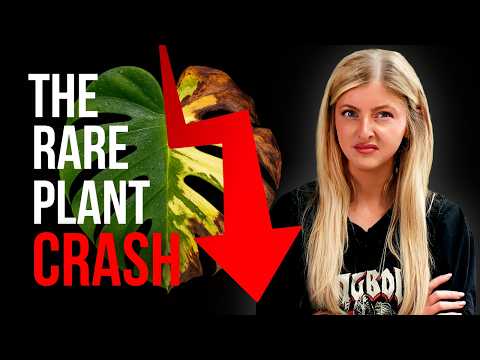 What REALLY Happened To Rare Plants.