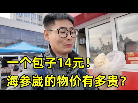 海参崴的物价有多贵？一个包子14元！100元在海参崴能买啥？