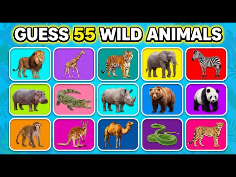Guess 55 Wild Animals! 🐾 Learn Animal Names for Kids 🐯🦒