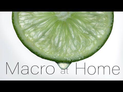 Macro at home idea: Easy project to practice focus and lighting