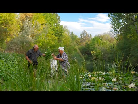 Curious life: Ukrainian elderly couple in the countryside.asmr cooking village life