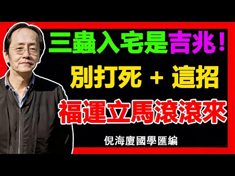 因果不騙人！家中出現這3種蟲 = 福氣爆棚！看懂活風水，窮鬼也能暴富！#倪海廈#活風水 #轉運#報恩蟲 #窮鬼翻身 #因果#財運信號 #蟲類吉凶 #逆襲暴富 #風水秘訣 #風水   #家中異象