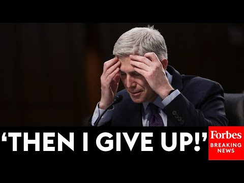 'I Asked You To Put That Aside': Neil Gorsuch Calls Out Attorney For Argument In Lisa Cook Case