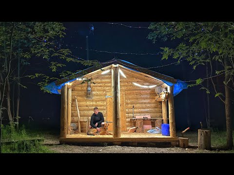 We've been living in a log cabin for a few days, and wild animals are walking right next to us