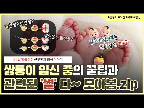 [쌍둥이 임신 몰아보기] 🔥쌍둥이 임신했다면 일단 클릭🔥｜쌍둥이를 가졌다면 무조건 '제왕절개? 대학병원? 조산? 선택유산?'🤔