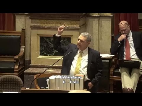 FULL VIDEO: Iowa lawmaker walks off Senate floor after being questioned about Iowa's child welfar...