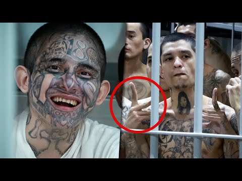 Expertos analizan el lenguaje no verbal de los pandilleros en la cárcel...