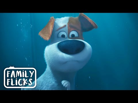 Saving Duke's Life | The Secret Life Of Pets (2016) | Family Flicks