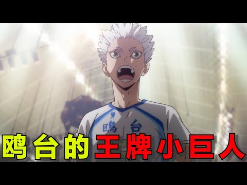 【排球少年人物志】鸥台的王牌小巨人星海光来!手握一把“烂牌”,却愣是给自己搏出了一个未来的“小羽毛球”!