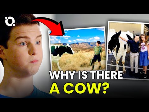 Young Sheldon: 15 Facts You Didn't Know About the Series |⭐ OSSA